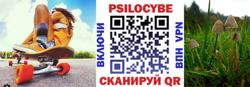 Псилоцибиновые грибы GOLDEN TEACHER  Москва 