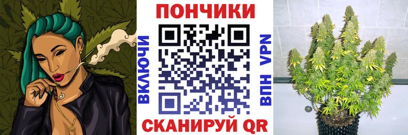 закладки Москва Марихуана тримм